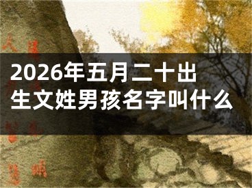2026年五月二十出生文姓男孩名字叫什么