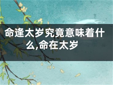 命逢太岁究竟意味着什么,命在太岁