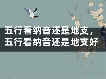 五行看纳音还是地支，五行看纳音还是地支好