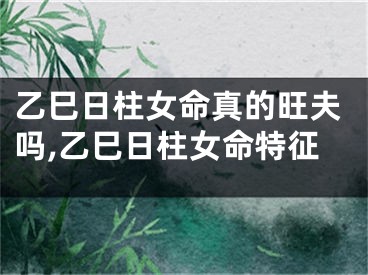 乙巳日柱女命真的旺夫吗,乙巳日柱女命特征