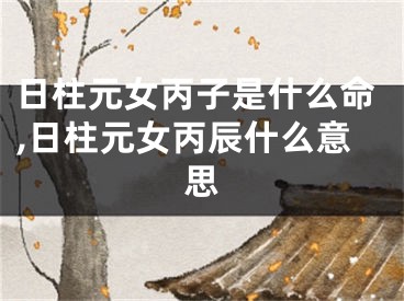 日柱元女丙子是什么命,日柱元女丙辰什么意思