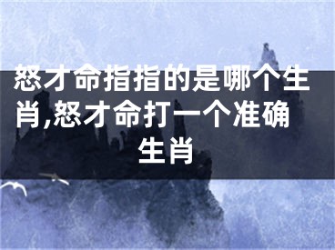 怒才命指指的是哪个生肖,怒才命打一个准确生肖