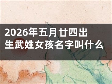2026年五月廿四出生武姓女孩名字叫什么