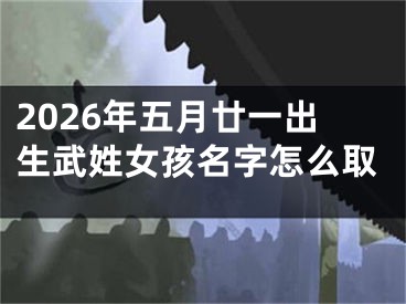 2026年五月廿一出生武姓女孩名字怎么取