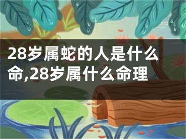 28岁属蛇的人是什么命,28岁属什么命理