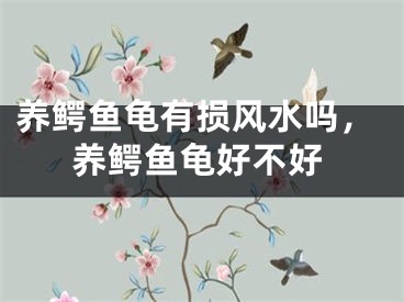 养鳄鱼龟有损风水吗，养鳄鱼龟好不好