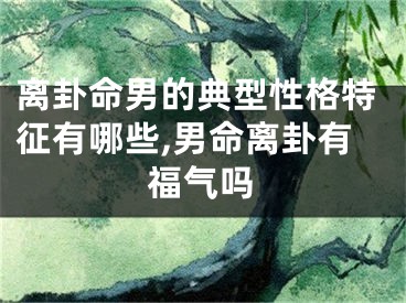 离卦命男的典型性格特征有哪些,男命离卦有福气吗