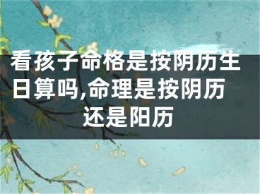看孩子命格是按阴历生日算吗,命理是按阴历还是阳历
