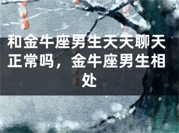 和金牛座男生天天聊天正常吗，金牛座男生相处