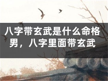 八字带玄武是什么命格男,八字里面带玄武