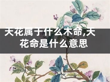 天花属于什么木命,天花命是什么意思