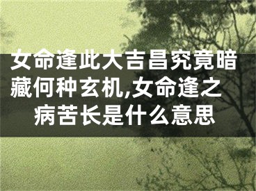 女命逢此大吉昌究竟暗藏何种玄机,女命逢之病苦长是什么意思