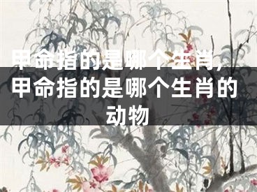 甲命指的是哪个生肖,甲命指的是哪个生肖的动物