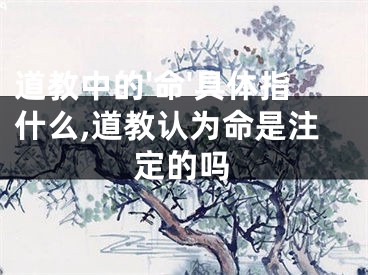 道教中的'命'具体指什么,道教认为命是注定的吗