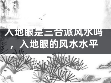 入地眼是三合派风水吗,入地眼的风水水平
