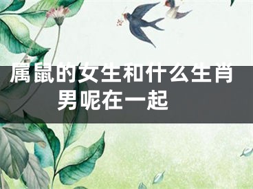 属鼠的女生和什么生肖男呢在一起 