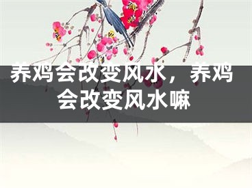 养鸡会改变风水，养鸡会改变风水嘛