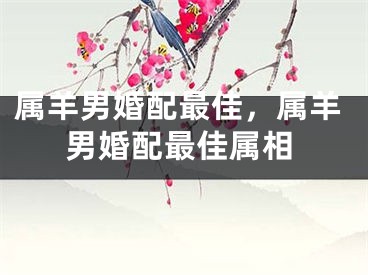 属羊男婚配最佳，属羊男婚配最佳属相
