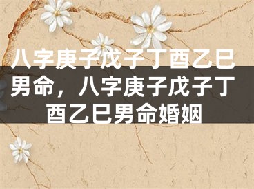 八字庚子戊子丁酉乙巳男命，八字庚子戊子丁酉乙巳男命婚姻