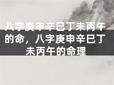 八字庚申辛巳丁未丙午的命，八字庚申辛巳丁未丙午的命理