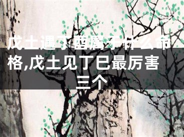戊土遇丁酉属于什么命格,戊土见丁巳最厉害三个