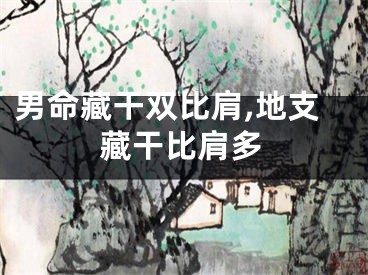 男命藏干双比肩,地支藏干比肩多