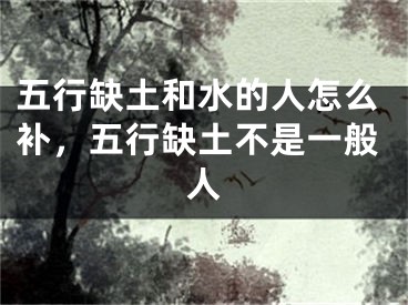 五行缺土和水的人怎么补,五行缺土不是一般人