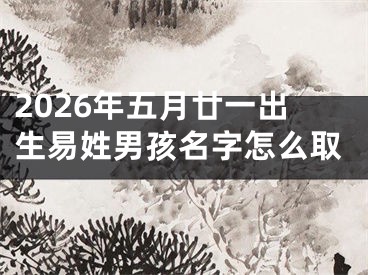 2026年五月廿一出生易姓男孩名字怎么取