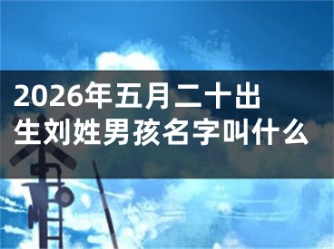 2026年五月二十出生刘姓男孩名字叫什么