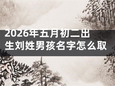 2026年五月初二出生刘姓男孩名字怎么取