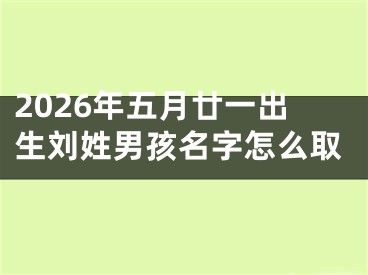 2026年五月廿一出生刘姓男孩名字怎么取