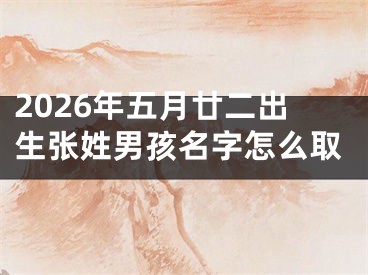 2026年五月廿二出生张姓男孩名字怎么取
