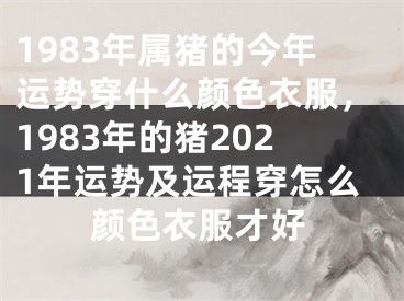 1983年属猪的今年运势穿什么颜色衣服,1983年的猪2021年运势及运程穿怎么颜色衣服才好