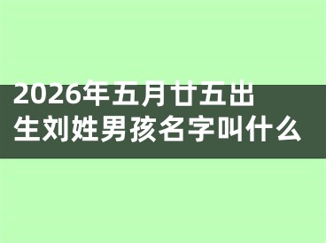 2026年五月廿五出生刘姓男孩名字叫什么