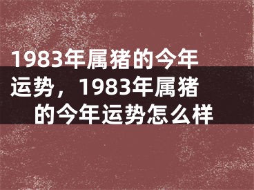 1983年属猪的今年运势，1983年属猪的今年运势怎么样
