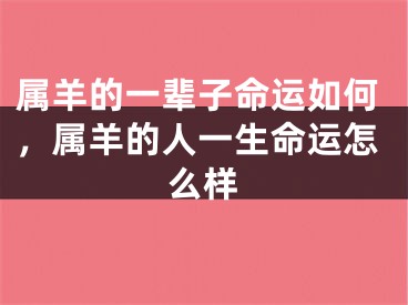 属羊的一辈子命运如何,属羊的人一生命运怎么样