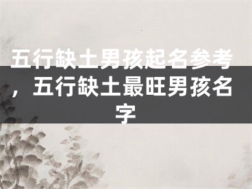 五行缺土男孩起名参考,五行缺土最旺男孩名字