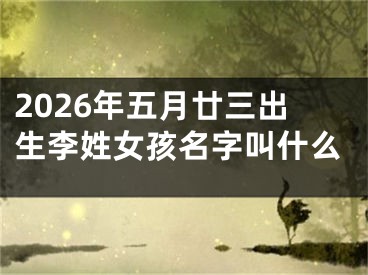 2026年五月廿三出生李姓女孩名字叫什么