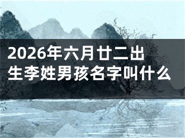 2026年六月廿二出生李姓男孩名字叫什么