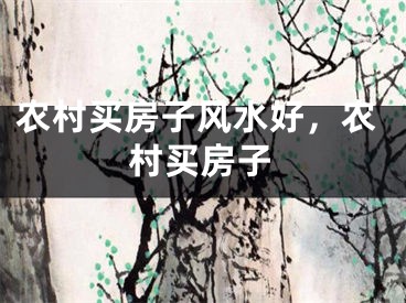 农村买房子风水好，农村买房子