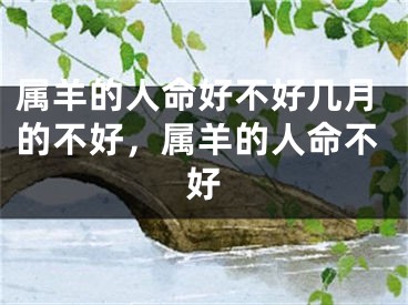 属羊的人命好不好几月的不好,属羊的人命不好